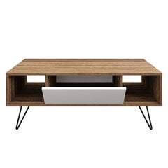 Kohvilaud Asir, 120x45,6x60 cm, valge/pruun price and information | Coffee tables | hansapost.ee