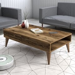 Kohvilaud Asir, 105x60x34,6 cm, pruun price and information | Coffee tables | hansapost.ee