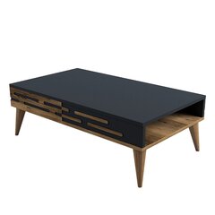 Kohvilaud Asir, 105x60x34,6 cm, pruun/hall price and information | Coffee tables | hansapost.ee