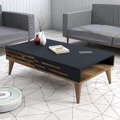 Kohvilaud Asir, 105x60x34,6 cm, pruun/hall price and information | Coffee tables | hansapost.ee