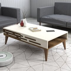 Kohvilaud Asir, 105x60x34,6 cm, pruun/beež price and information | Coffee tables | hansapost.ee