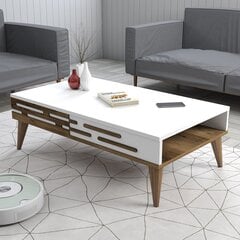 Kohvilaud Asir, 105x60x34,6 cm, pruun/valge price and information | Coffee tables | hansapost.ee