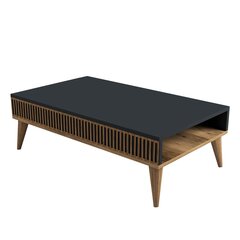 Kohvilaud Asir, 105x34,6x60 cm, pruun/hall price and information | Coffee tables | hansapost.ee