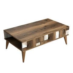 Kohvilaud Asir, 105x37,6x60 cm, pruun/valge price and information | Coffee tables | hansapost.ee