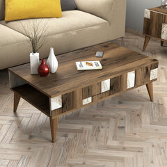 Kohvilaud Asir, 105x37,6x60 cm, pruun/valge price and information | Coffee tables | hansapost.ee