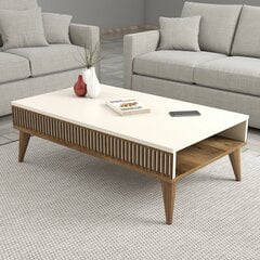 Kohvilaud Asir, 105x34,6x60 cm, pruun/beež price and information | Coffee tables | hansapost.ee