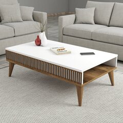 Kohvilaud Asir, 105x34,6x60 cm, pruun/valge price and information | Coffee tables | hansapost.ee