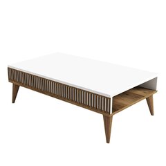 Kohvilaud Asir, 105x34,6x60 cm, pruun/valge price and information | Coffee tables | hansapost.ee