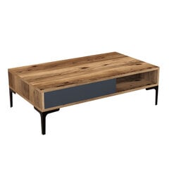 Kohvilaud Asir, 105x32,6x60 cm, pruun/hall price and information | Coffee tables | hansapost.ee