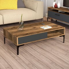 Kohvilaud Asir, 105x32,6x60 cm, pruun/hall price and information | Coffee tables | hansapost.ee