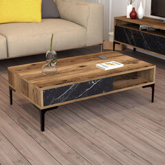 Kohvilaud Asir, 105x32,6x60 cm, pruun/must price and information | Coffee tables | hansapost.ee