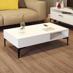 Kohvilaud Asir, 105x32,6x60 cm, valge price and information | Coffee tables | hansapost.ee