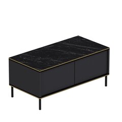 Kohvilaud Asir, 90x40x45 cm, hall price and information | Coffee tables | hansapost.ee