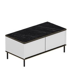 Kohvilaud Asir, 90x40x45 cm, valge price and information | Coffee tables | hansapost.ee