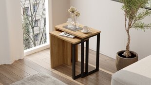 Pesastamislaud Asir, tume pruun, 2tk price and information | Coffee tables | hansapost.ee