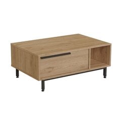 Kohvilaud Asir, 90x37,6x60 cm, pruun price and information | Coffee tables | hansapost.ee