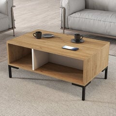 Kohvilaud, Asir, 90x54x41,6 cm, pruun/valge price and information | Coffee tables | hansapost.ee