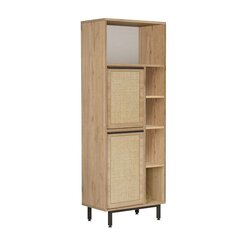 Mitmeotstarbeline kapp, Asir, 160x45,1x35,5 cm, beež price and information | Living room cupboards | hansapost.ee