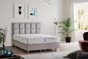 Madrats Asir, 80x180 cm, valge price and information | Mattresses | hansapost.ee