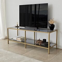 TV alus Asir, 130x45x40 cm, tume hall/kuldne price and information | Television bases | hansapost.ee