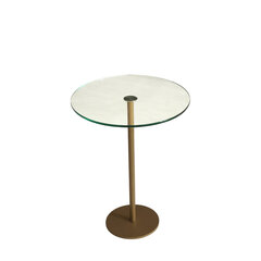 Kohvilaud Asir, 40x50x40cm, kuldne price and information | Coffee tables | hansapost.ee