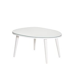 Kohvilaud Asir, 75x38x55cm, valge price and information | Coffee tables | hansapost.ee