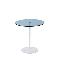 Külglaud Asir, 50x50x50cm, valge/sinine price and information | Coffee tables | hansapost.ee