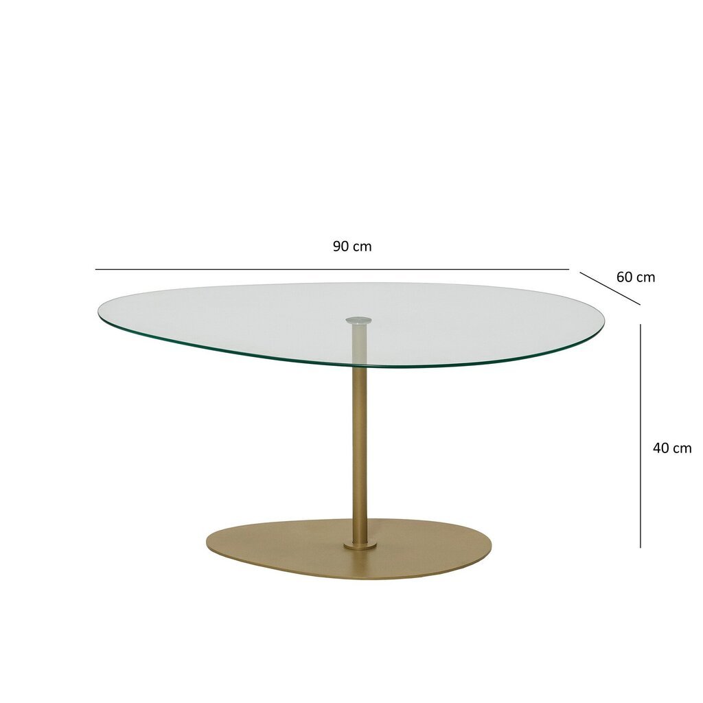 Kohvilaud Asir, 90x40x60 cm, läbipaistev/kuldne hind ja info | Diivanilauad | hansapost.ee