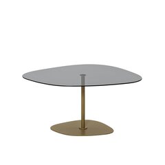 Kohvilaud Asir, 85x40x67 cm, tume hall /kuldne price and information | Coffee tables | hansapost.ee