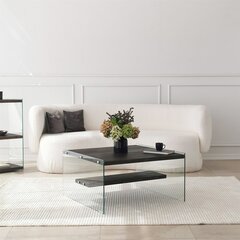 Kohvilaud Asir, 75x40x75 cm, hall price and information | Coffee tables | hansapost.ee