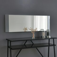 Peegel Asir, 40x120x2,2cm, hõbe price and information | Bathroom mirrors | hansapost.ee