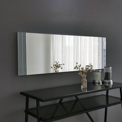 Peegel Asir, 40x120x2,2cm, hõbe price and information | Bathroom mirrors | hansapost.ee