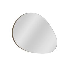 Peegel Asir, 90x60cm, hõbe price and information | Bathroom mirrors | hansapost.ee