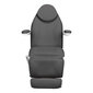 Elektriline kosmeetikatool Sillon Basic 3 strong swivel, hall hind ja info | Ilusalongi mööbel | hansapost.ee