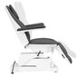 Elektriline kosmeetikatool Sillon Basic 3 strong swivel, hall hind ja info | Ilusalongi mööbel | hansapost.ee