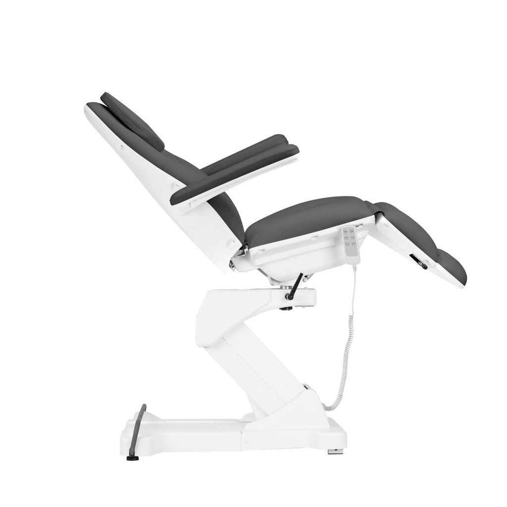 Elektriline kosmeetikatool Sillon Basic 3 strong swivel, hall hind ja info | Ilusalongi mööbel | hansapost.ee