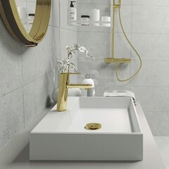 Graniidist valamu Deante CQRAU6S price and information | Bathroom sinks, washbasins | hansapost.ee