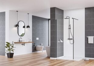 Valamusegisti Deante Arnika, titanium price and information | Bathroom faucets | hansapost.ee