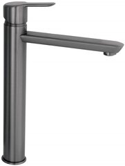 Valmusegisti Deante Arnika Tall BQAD20N, titanium price and information | Bathroom faucets | hansapost.ee