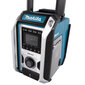 Makita raadio DMR114 Job Site Radio цена и информация | Kõlarid | hansapost.ee