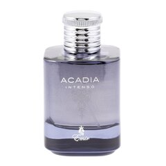 Lõhnavesi Emir Acadia Intenso EDP meestele, 100 ml hind ja info | Parfüümid meestele | hansapost.ee