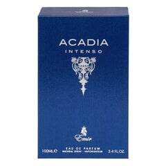 Lõhnavesi Emir Acadia Intenso EDP meestele, 100 ml hind ja info | Parfüümid meestele | hansapost.ee