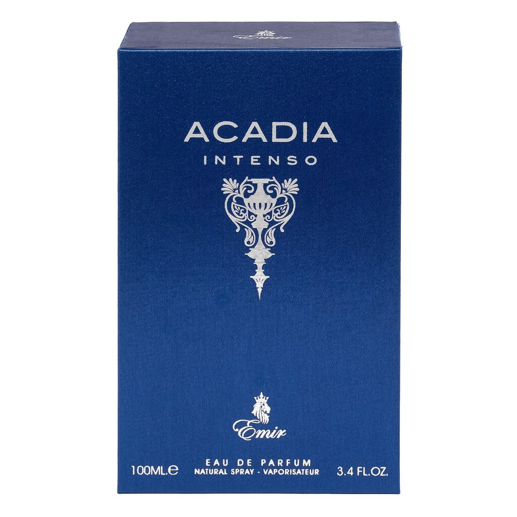 Lõhnavesi Emir Acadia Intenso EDP meestele, 100 ml цена и информация | Parfüümid meestele | hansapost.ee