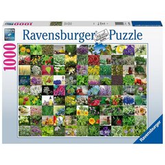 Pusle Ravensburger, 1000 tk hind ja info | Pusled lastele ja täiskasvanutele | hansapost.ee