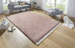 Vaip Hanse Home Desire 103323, 80x150 cm цена и информация | Vaibad | hansapost.ee