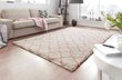 Vaip Hanse Home Grace 102745, 120x170 cm hind ja info | Vaibad | hansapost.ee