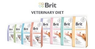 Brit Veterinary Calm & Stress Relief 2 кг цена и информация | Сухой корм для кошек | hansapost.ee