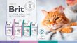 Brit Veterinary Calm&Stress Relief lõhega, 2 kg hind ja info | Kassi kuivtoit ja kassikrõbinad | hansapost.ee