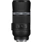 Canon EOS R8 + RF 600mm f/11 IS STM hind ja info | Fotoaparaadid | hansapost.ee