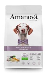 Amanova Adult Mobility Fish Delicacy для взрослых собак с рыбой, 2 кг цена и информация | Сухой корм для собак | hansapost.ee